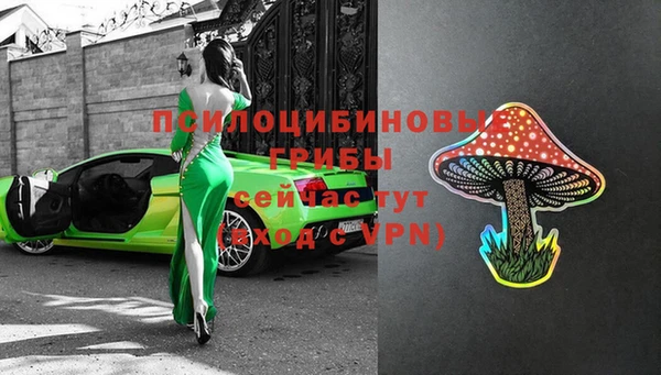 дмт Горняк