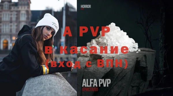сатива Горнозаводск