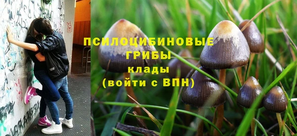 сатива Горнозаводск