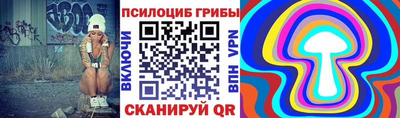 наркотики  Мглин  Псилоцибиновые грибы Psilocybine cubensis 
